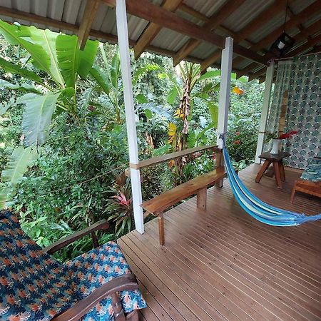 Casa Lina Sloth View Exotic Apartment With Privat Kitchen Puerto Viejo de Talamanca Екстериор снимка