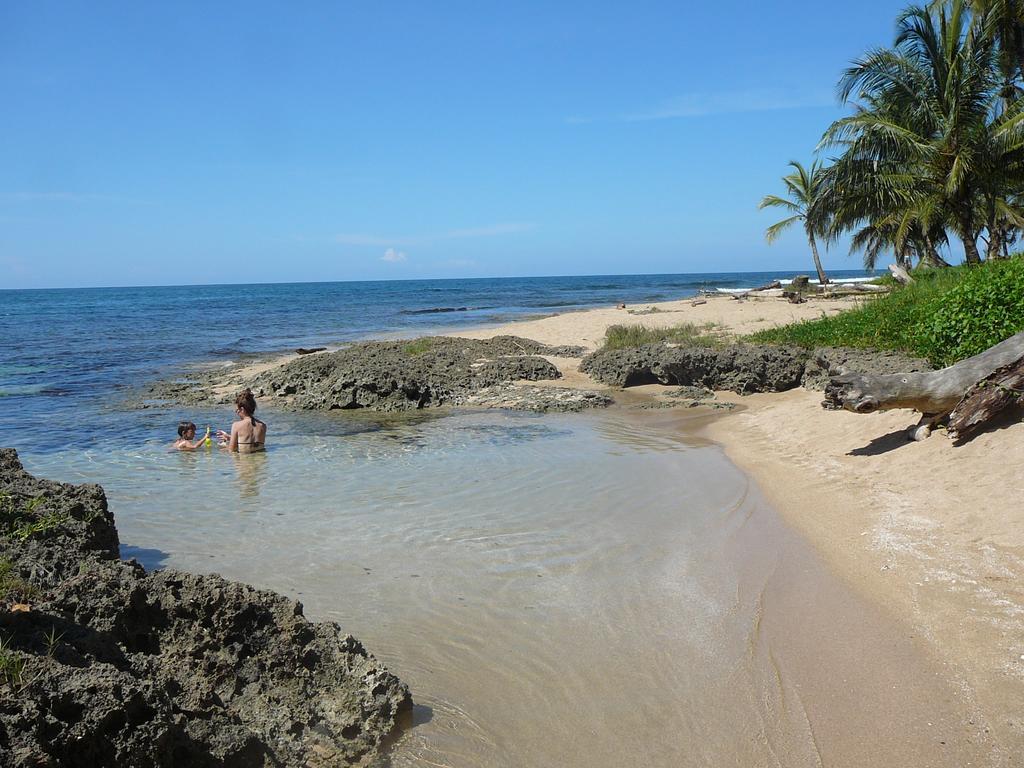 Casa Lina Sloth View Exotic Apartment With Privat Kitchen Puerto Viejo de Talamanca Стая снимка