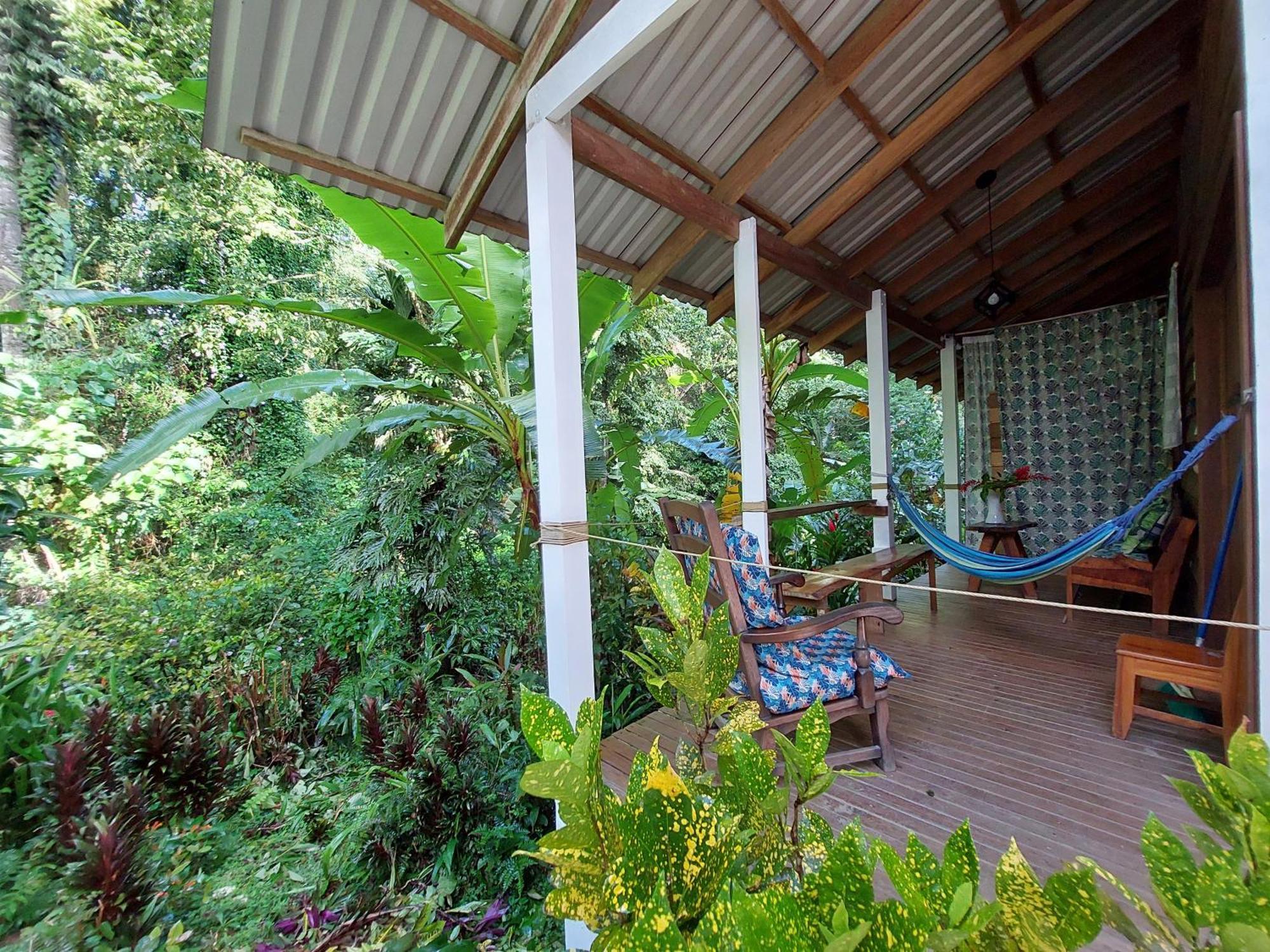 Casa Lina Sloth View Exotic Apartment With Privat Kitchen Puerto Viejo de Talamanca Екстериор снимка