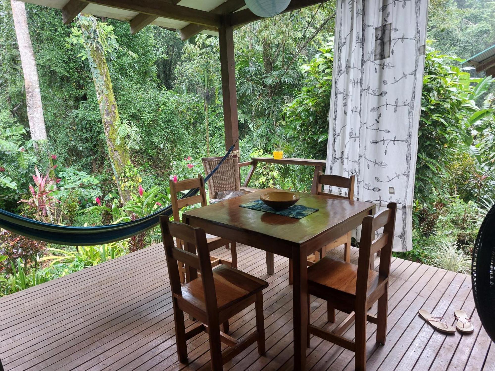Casa Lina Sloth View Exotic Apartment With Privat Kitchen Puerto Viejo de Talamanca Екстериор снимка