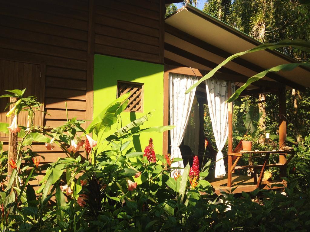 Casa Lina Sloth View Exotic Apartment With Privat Kitchen Puerto Viejo de Talamanca Екстериор снимка