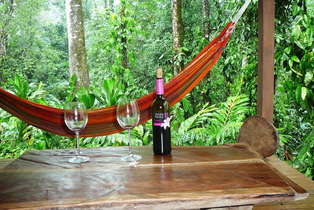Casa Lina Sloth View Exotic Apartment With Privat Kitchen Puerto Viejo de Talamanca Стая снимка