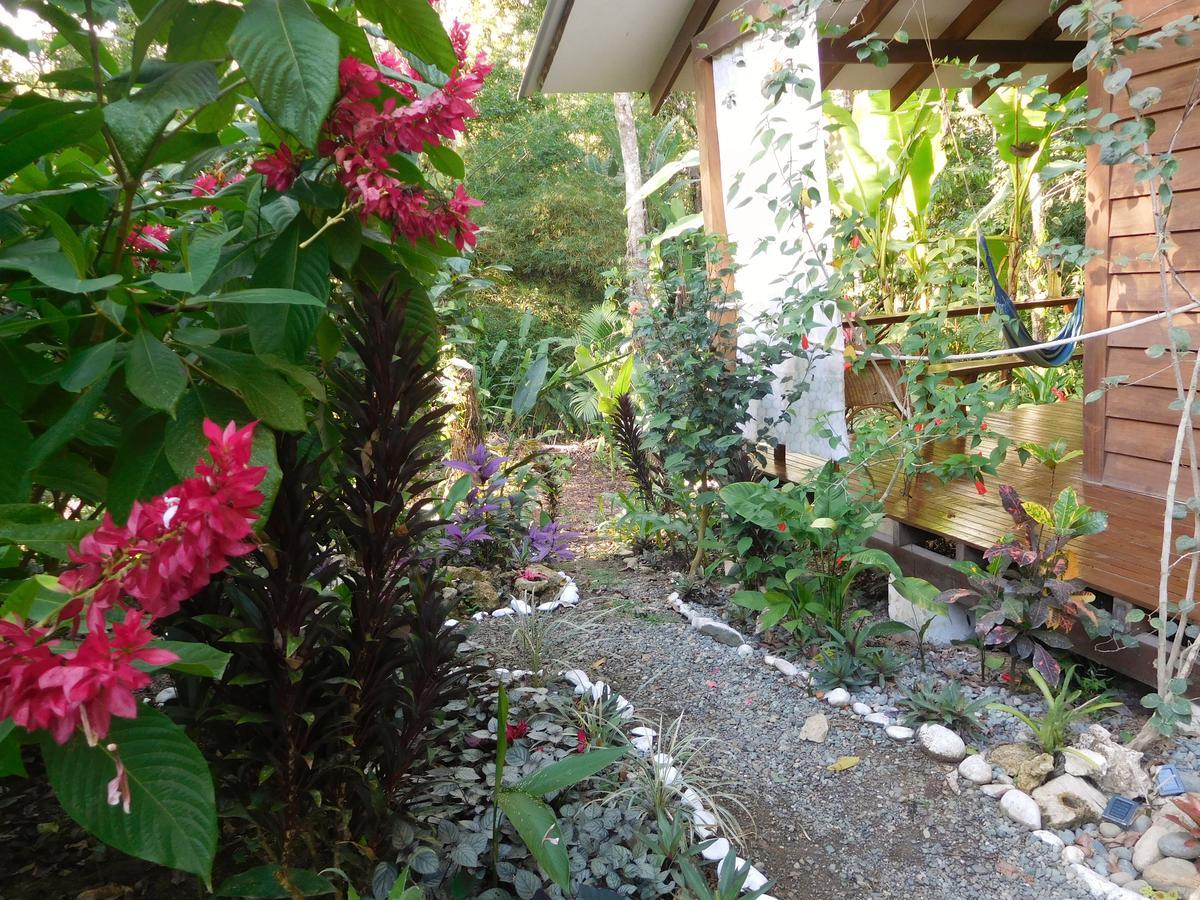Casa Lina Sloth View Exotic Apartment With Privat Kitchen Puerto Viejo de Talamanca Екстериор снимка