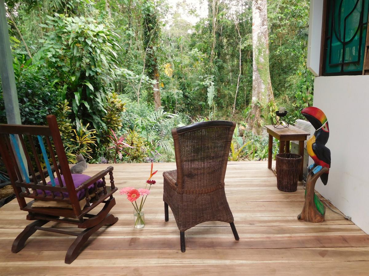 Casa Lina Sloth View Exotic Apartment With Privat Kitchen Puerto Viejo de Talamanca Екстериор снимка